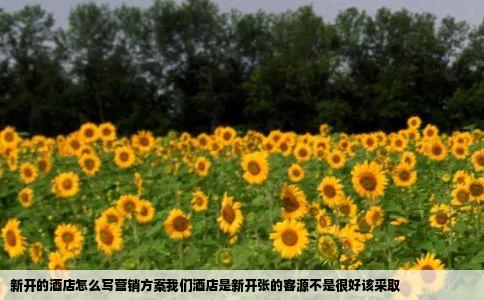 新开的酒店怎么写营销方案我们酒店是新开张的客源不是很好该采取