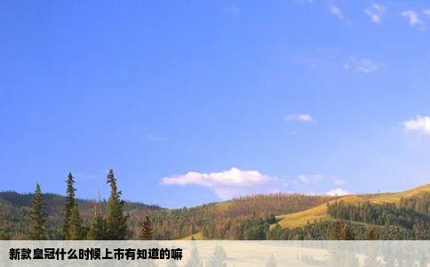 新款皇冠什么时候上市有知道的嘛