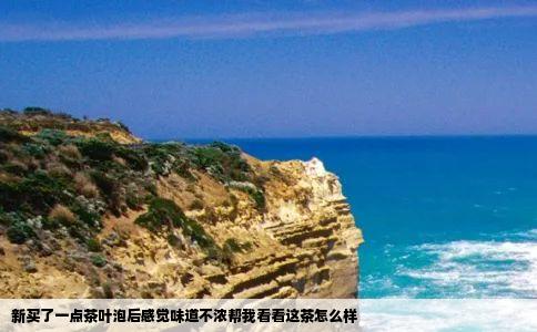 新买了一点茶叶泡后感觉味道不浓帮我看看这茶怎么样