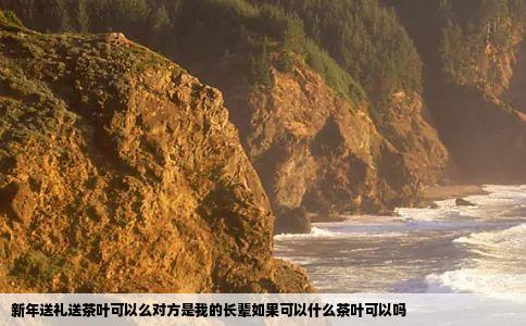 新年送礼送茶叶可以么对方是我的长辈如果可以什么茶叶可以吗