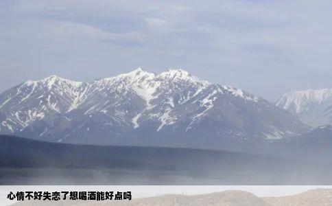 心情不好失恋了想喝酒能好点吗