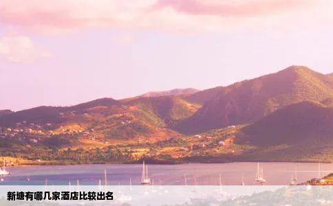 新塘有哪几家酒店比较出名