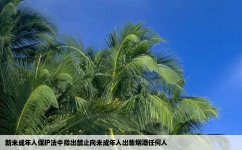 新未成年人保护法中指出禁止向未成年人出售烟酒任何人