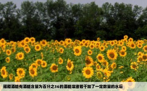 稀释酒精有酒精含量为百分之36的酒精溶液若干加了一定数量的水后