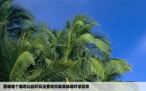 西塘哪个酒吧比较好玩消费如何越具体越好求回答