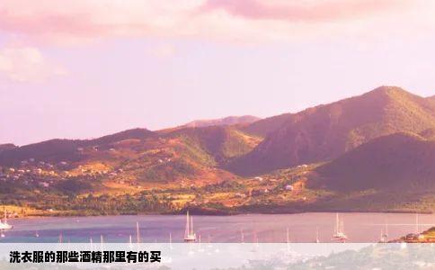 洗衣服的那些酒精那里有的买