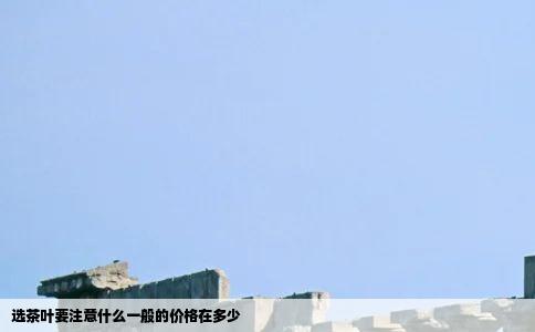 选茶叶要注意什么一般的价格在多少