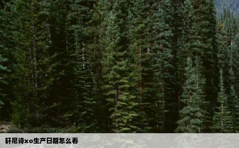 轩尼诗xo生产日期怎么看