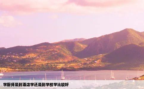 学厨师是到酒店学还是到学校学比较好
