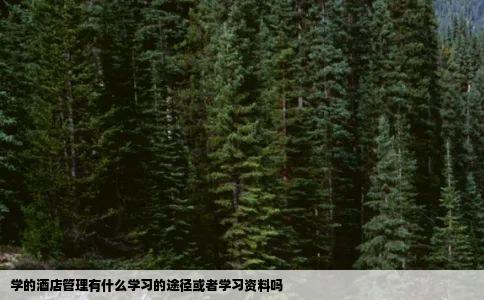 学的酒店管理有什么学习的途径或者学习资料吗
