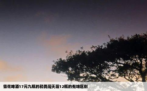 雪花啤酒17元九瓶的和勇闯天涯12瓶的有啥区别