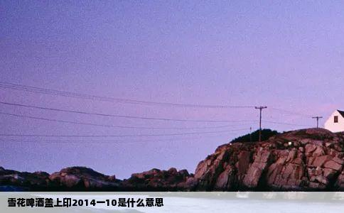雪花啤酒盖上印2014一10是什么意思