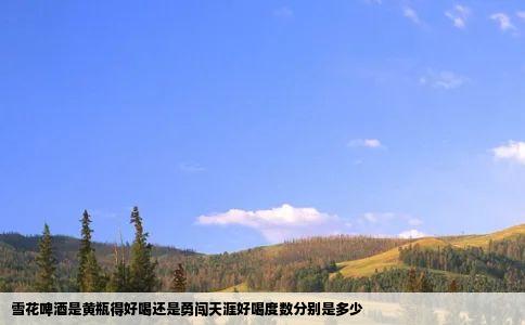 雪花啤酒是黄瓶得好喝还是勇闯天涯好喝度数分别是多少