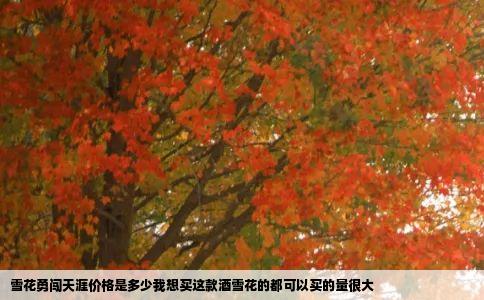 雪花勇闯天涯价格是多少我想买这款酒雪花的都可以买的量很大