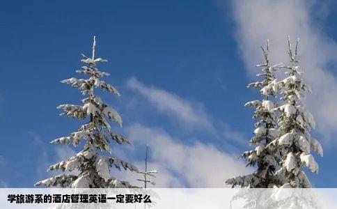学旅游系的酒店管理英语一定要好么