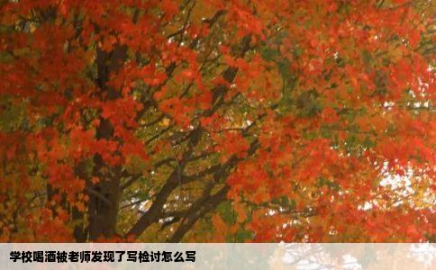 学校喝酒被老师发现了写检讨怎么写