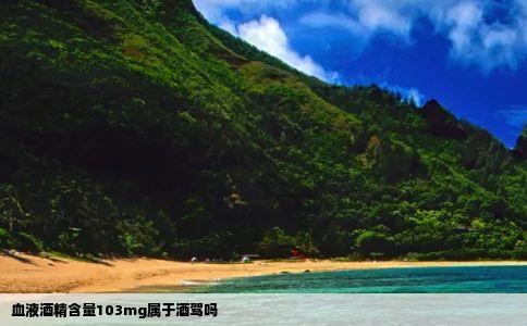 血液酒精含量103mg属于酒驾吗