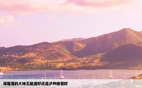 寻喝酒的大神五粮液好还是泸州老窖好