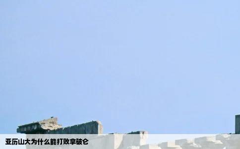 亚历山大为什么能打败拿破仑