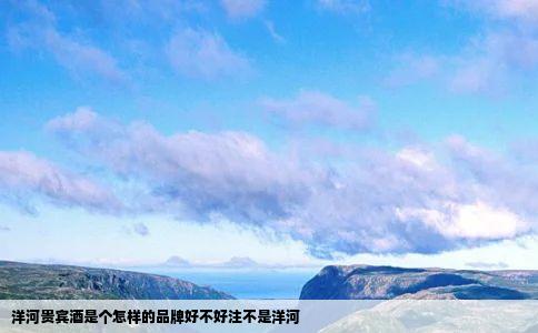洋河贵宾酒是个怎样的品牌好不好注不是洋河
