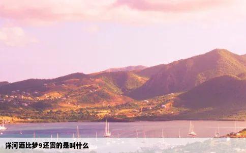 洋河酒比梦9还贵的是叫什么