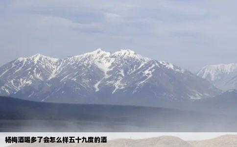 杨梅酒喝多了会怎么样五十九度的酒