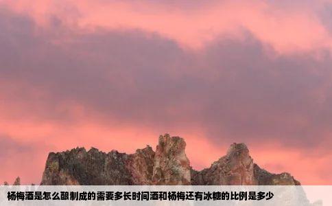 杨梅酒是怎么酿制成的需要多长时间酒和杨梅还有冰糖的比例是多少