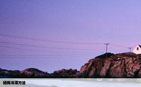 杨梅泡酒方法