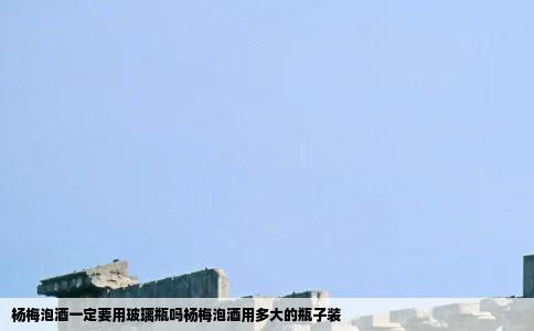 杨梅泡酒一定要用玻璃瓶吗杨梅泡酒用多大的瓶子装