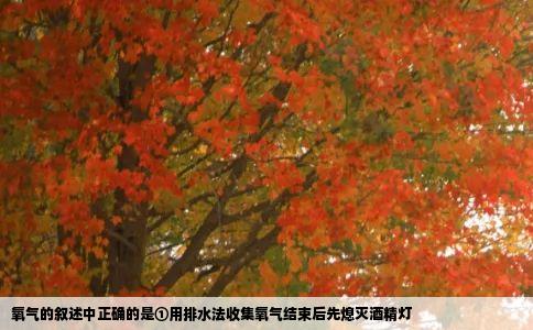 氧气的叙述中正确的是①用排水法收集氧气结束后先熄灭酒精灯