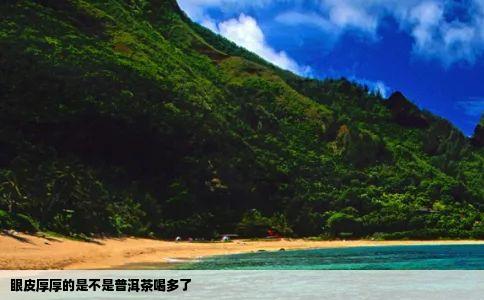 眼皮厚厚的是不是普洱茶喝多了
