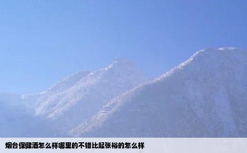 烟台保健酒怎么样哪里的不错比起张裕的怎么样