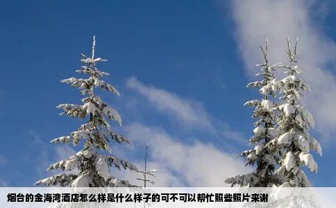烟台的金海湾酒店怎么样是什么样子的可不可以帮忙照些照片来谢
