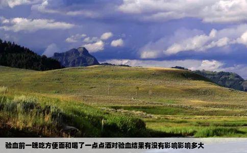验血前一晚吃方便面和喝了一点点酒对验血结果有没有影响影响多大