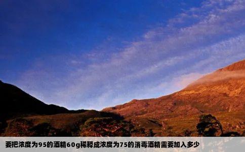 要把浓度为95的酒精60g稀释成浓度为75的消毒酒精需要加入多少