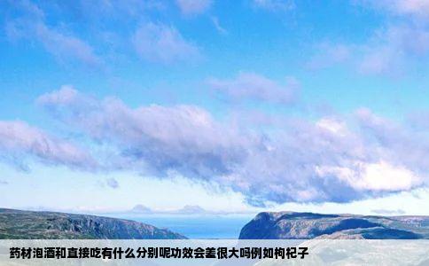 药材泡酒和直接吃有什么分别呢功效会差很大吗例如枸杞子