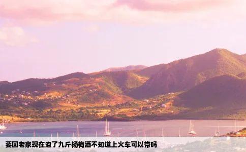 要回老家现在泡了九斤杨梅酒不知道上火车可以带吗