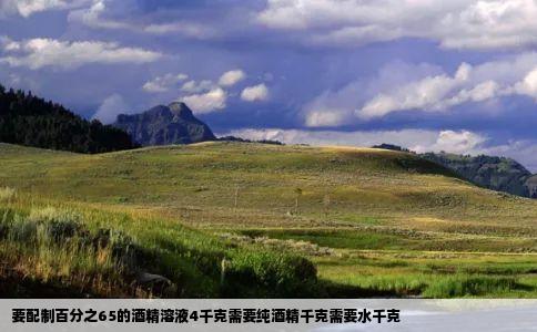 要配制百分之65的酒精溶液4千克需要纯酒精千克需要水千克