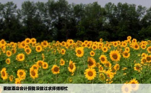 要做酒店会计但我没做过求师傅帮忙