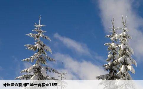 牙疼是否能用白酒一两松香15克