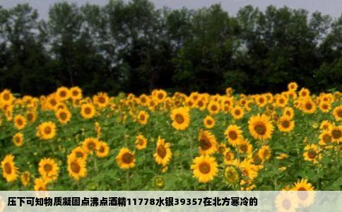 压下可知物质凝固点沸点酒精11778水银39357在北方寒冷的