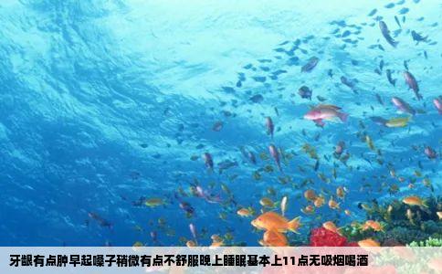 牙龈有点肿早起嗓子稍微有点不舒服晚上睡眠基本上11点无吸烟喝酒