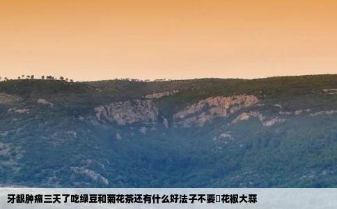 牙龈肿痛三天了吃绿豆和菊花茶还有什么好法子不要唅花椒大蒜