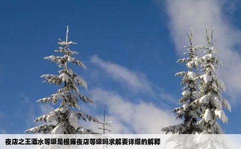 夜店之王酒水等级是根据夜店等级吗求解要详细的解释