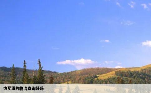 也买酒的物流查询好吗