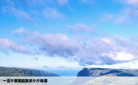 一百斤葡萄能酿多少斤烧酒