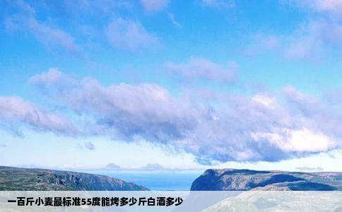 一百斤小麦最标准55度能烤多少斤白酒多少