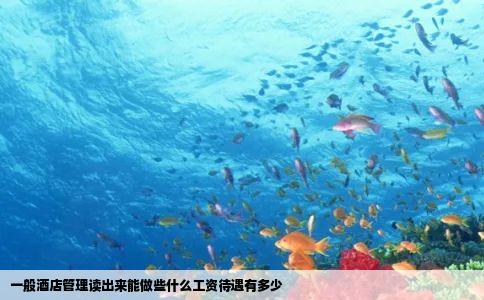 一般酒店管理读出来能做些什么工资待遇有多少