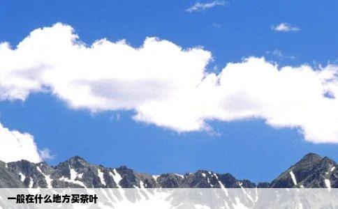 一般在什么地方买茶叶