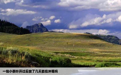 一包小茶叶开过后放了几天能在冲喝吗